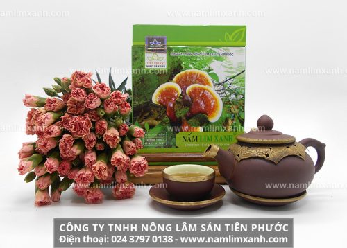 Công ty Nông lâm sản Tiên Phước cung cấp nấm lim chính gốc.