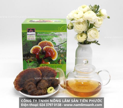 Công ty TNHH Nấm lim nông lâm sản Tiên Phước cung cấp nấm lim xanh uy tín