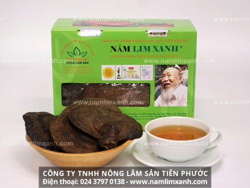 Giá bán nấm lim xanh Tiên Phước ở Hà Nội đúng tác dụng nấm lim rừng