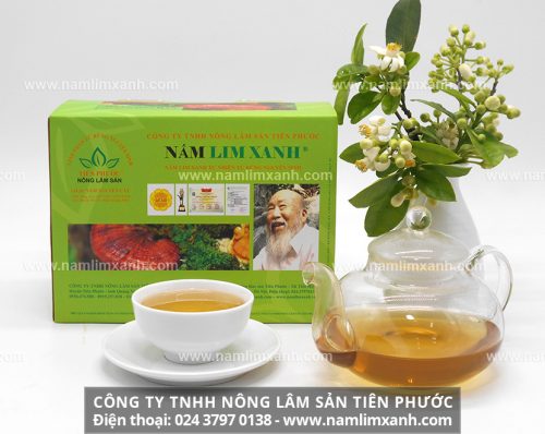 Giá bán nấm lim xanh nguyên cây chuẩn của công ty TNHH Nông Lâm Sản Tiên Phước