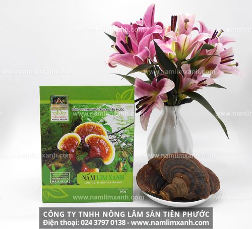 Giá của nấm lim xanh ở Công ty TNHH Nông lâm sản Tiên Phước