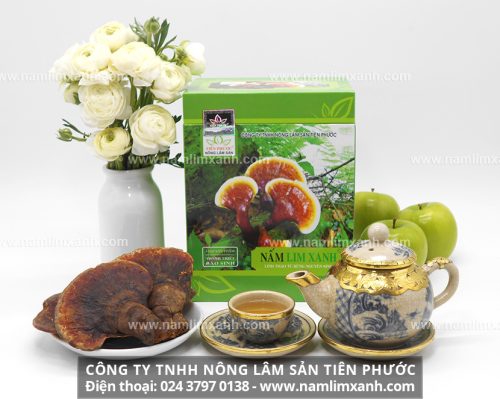 Giá của nấm lim xanh tự nhiên của công ty TNHH Nông lâm sản Tiên Phước