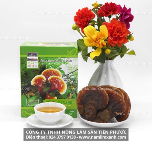 Giá nấm của Công ty TNHH Nông Lâm Sản Tiên Phước niêm yết giá nấm lim xanh rừng
