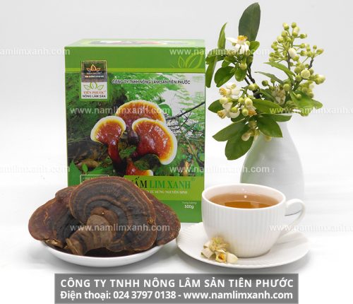 Giá nấm lim xanh Lào của Công ty Nông lâm sản Tiên Phước
