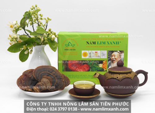 Hệ thống đại lý bán nấm lim rừng của công ty TNHH Nông Lâm Sản Tiên Phước