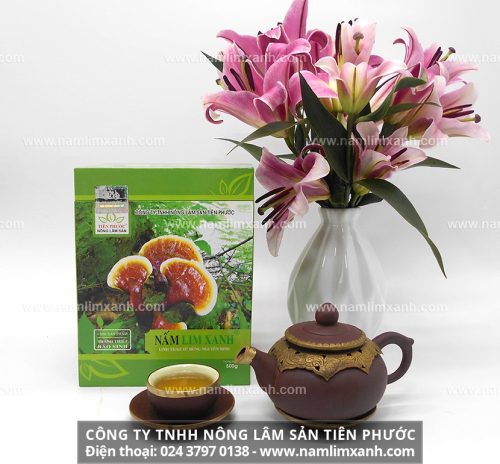Nấm lim xanh Thanh Hóa bán từ Công ty TNHH Nông lâm sản Tiên Phước