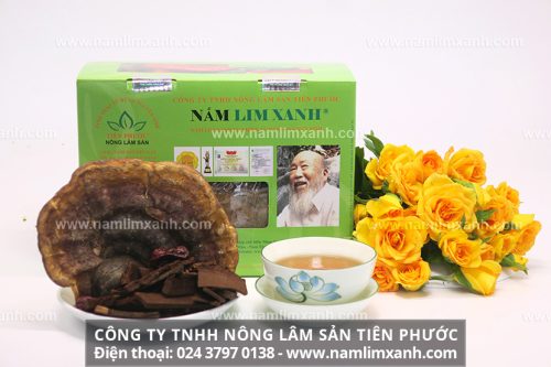 Quá trình thu hái sơ chế nấm lim xanh thiên nhiên và thị trường mua bán nấm lim xanh rừng Quảng Nam hiện nay