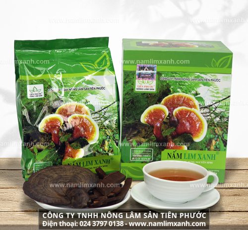 Tại sao nên mua nấm linh xanh từ Công ty TNHH Nông lâm Tiên Phước