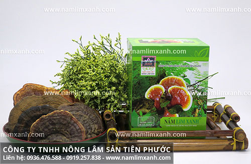 Giá nấm lim xanh rừng Tiên Phước tại Hà Nội bán giá bao nhiêu 1kg
