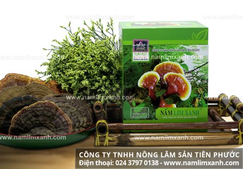 Sản phẩm nấm lim xanh rừng công ty Nông lâm sản Tiên Phước chính hãng