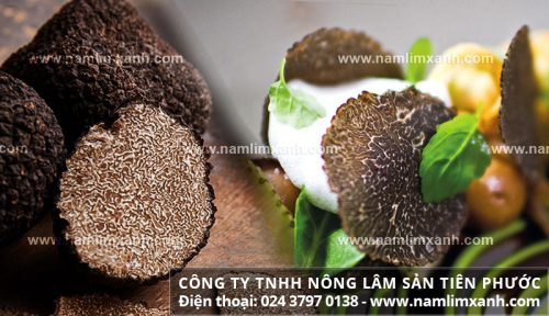 Cách chế biến và cách dùng nấm cục truffle đạt hiệu quả tốt nhất