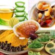 Bài thuốc phòng chống ung thư từ món ăn với gia vị và thảo dược