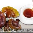 Cách chế biến nấm lim xanh dùng nấm lim Tiên Phước chữa bệnh