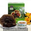 Cách dùng nấm lim xanh cách sắc nấu uống nấm lim Tiên Phước