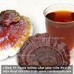 Cách nấu nước nấm lim xanh điều trị những bệnh gì với liều lượng và lưu ý