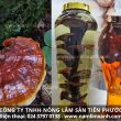 Cách ngâm rượu nấm lim xanh ở cách sử dụng uống rượu nấm lim