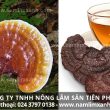 Cách sắc nấm lim xanh để dùng cho công dụng điều trị bệnh ung thư