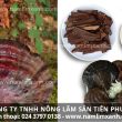 Cách uống nấm lim xanh cùng hướng dẫn sử dụng nấm lim xanh