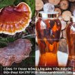 Cách sử dụng nấm lim xanh ngâm rượu tác dụng tăng cường sinh lực