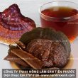 Cách uống nấm lim xanh Quảng Nam sắc nước và ngâm rượu trong bao lâu?