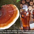 Nấm lim xanh ngâm rượu có tác dụng gì cách ngâm rượu nấm lim