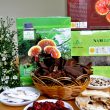 Đừng tự giết mình vì lạm dụng thảo dược thải độc gan