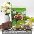 Các loại nấm lim xanh tự nhiên và giá tiền 1kg nấm lim xanh thật?