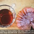 Hướng dẫn sử dụng nấm lim xanh và cách trị tai biến mạch máu