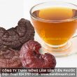 Cách sử dụng nấm lim xanh Tiên Phước với liều lượng nấu uống và lưu ý
