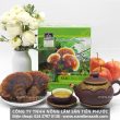 Nấm lim xanh Tiên Phước mua ở đâu địa chỉ bán nấm lim tự nhiên