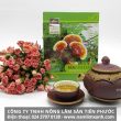 Nấm lim xanh chữa bệnh gì và cách dùng nấm lim xanh chữa bệnh