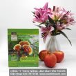 Nấm lim xanh làm đẹp da tác dụng giảm cân và cách sử dụng đúng
