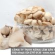 Nấm ngọc thạch với đặc điểm tác dụng và cách dùng nấm ngọc thạch
