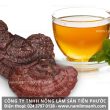 Nấm lim xanh chữa bệnh viêm gan với cách dùng nấm lim điều trị bệnh