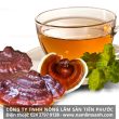 Sử dụng nấm lim xanh như thế nào liều lượng nấm lim trị ung thư