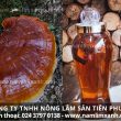 Tác dụng của nấm lim ngâm rượu và cách chọn nấm lim xanh rừng