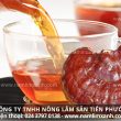 Uống nấm lim xanh nhiều có tốt không cách sử dụng nấm lim tốt nhất