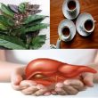 Tác dụng của lá xạ đen tươi, thông tin mới nhất về lá cây xạ đen