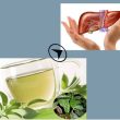 Uống nước xạ đen có tốt không? Uống lá xạ đen điều trị bệnh gì?
