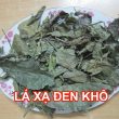 Cây xạ đen có tác dụng như thế nào? Công dụng, cách dùng xạ đen