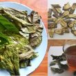Cách dùng lá xạ đen khô như thế nào? Tác dụng của lá xạ đen là gì?
