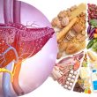 Chế độ ăn uống cho người bệnh gan nhiễm mỡ nên ăn gì và kiêng gì?