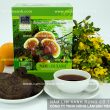 Các loại nấm lim xanh rừng Công ty TNHH Nông Lâm Sản Tiên Phước