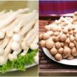 Nấm Ngọc bích là gì với cách dùng và tác dụng của nấm Ngọc bích tốt nhất