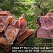 Nấm tai mèo với đặc điểm tác dụng cách dùng nấm tai mèo ngon bổ