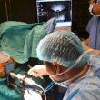 Lựa chọn phương pháp điều trị ung thư tuyến tiền liệt theo phân kỳ