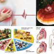 Phòng chống bệnh tim mạch hiệu quả. Viện dinh dưỡng
