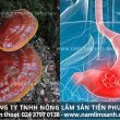 Dấu hiệu nhận biết ung thư dạ dày và tác dụng của nấm lim xanh trong điều trị như thế nào?