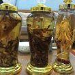 Xạ đen ngâm rượu: Công dụng, tác dụng chữa bệnh xạ đen Hòa Bình